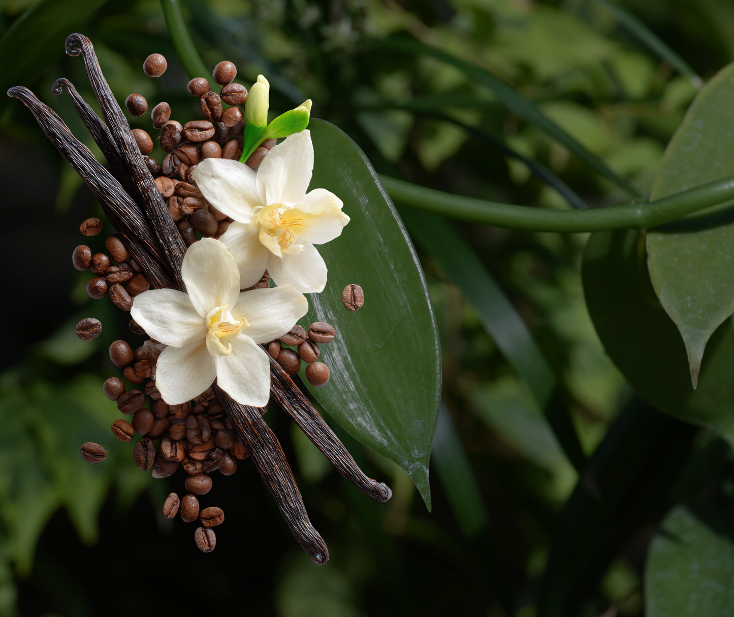 Botanical Blend Body Scrub